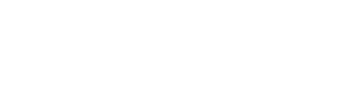 FloLogic Logo